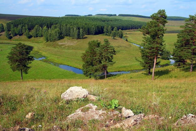 Paisaje de verano de colinas