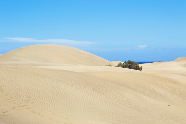 Foto paisaje de verano de dunas de arena y cielo azul.