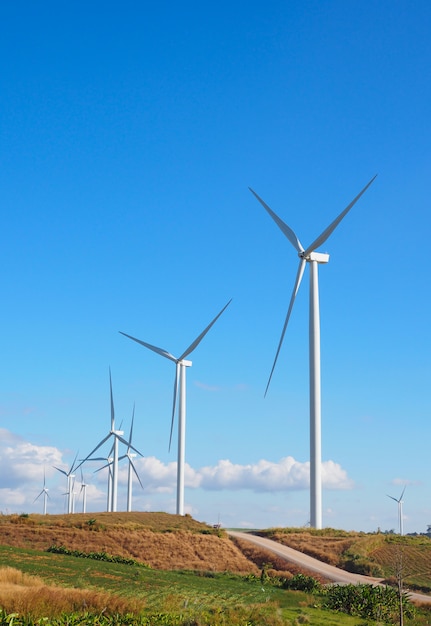 Paisaje de verano de fuente de energía renovable de turbina de viento con cielo azul en paisajes naturales