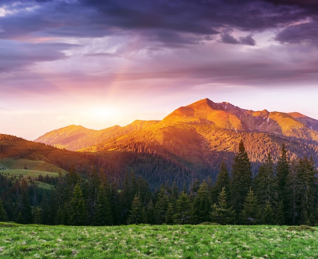 Paisaje de verano con un hermoso amanecer en las montañas