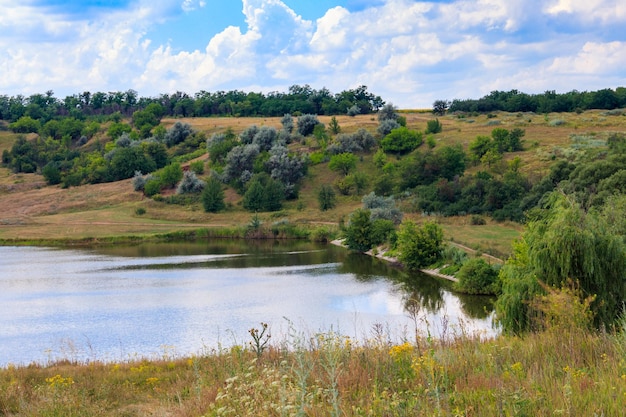 Paisaje de verano con hermoso lago, prados verdes, colinas, árboles y cielo azul