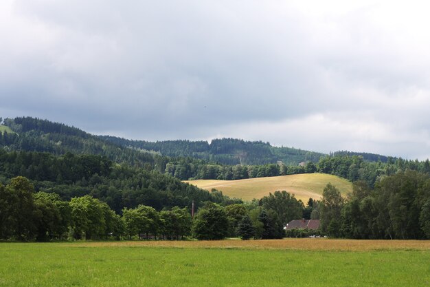 Paisaje de verano. Hierba verde y cielo azul.