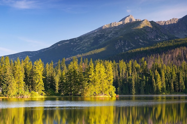 Paisaje de verano con un lago de montaña y un bosque de pinos.