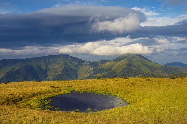 Paisaje de verano con un lago de montaña.