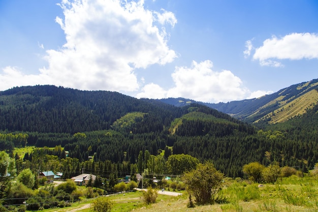 Paisaje de verano de montaña Árboles altos montañas nevadas y nubes blancas en un cielo azul Kirguistán Hermoso paisaje