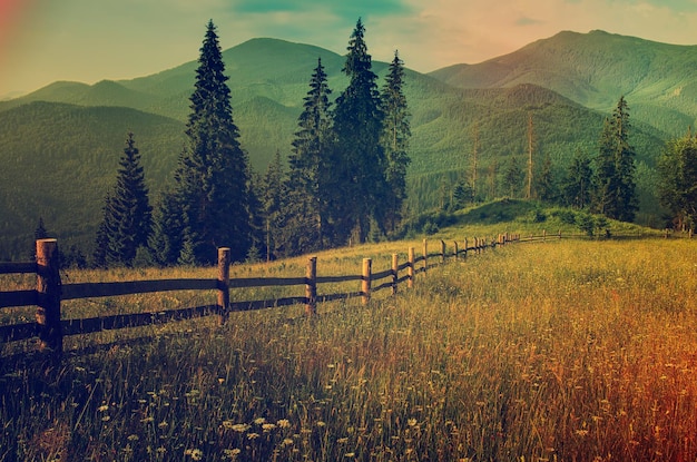 Foto paisaje de verano de montaña