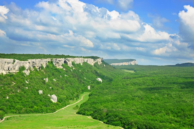 paisaje de verano de montaña