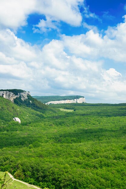 paisaje de verano de montaña