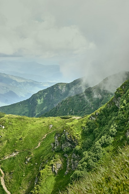 Paisaje de verano en las montañas de los Cárpatos con cielo nublado. Cárpatos, Ucrania, Europa.