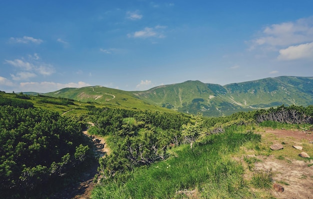 Paisaje de verano en las montañas y el cielo azul oscuro