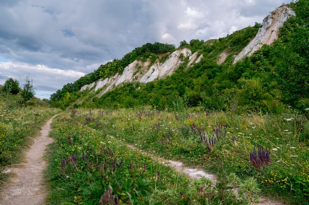 Paisaje de verano de montañas montañosas con prados verdes