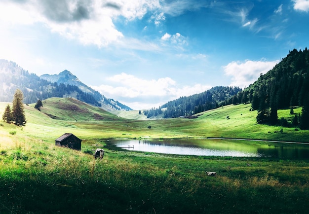 Paisaje De Verano Con Montañas Verdes