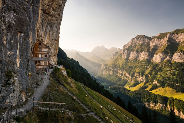 Paisaje De Verano Con Montañas Verdes