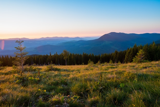 Paisaje de verano en las montañas