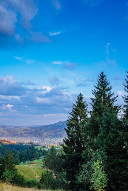 Paisaje de verano en las montañas