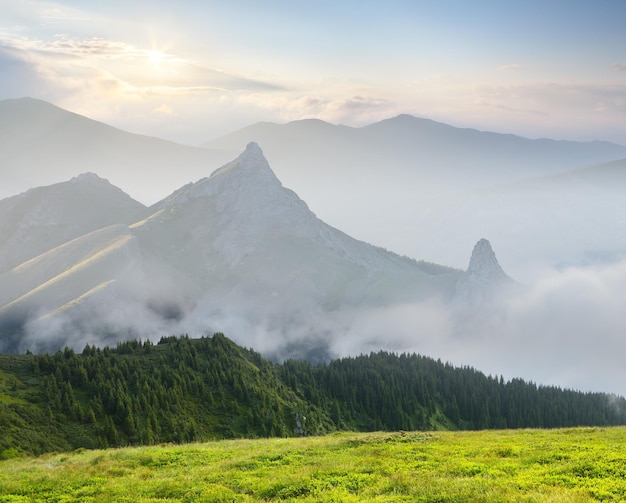 Paisaje de verano con niebla en las montañas.