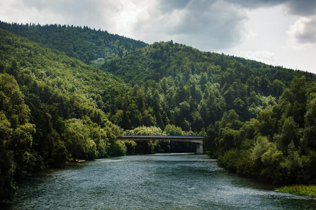 Paisaje de verano con río de montaña corriendo entre colinas