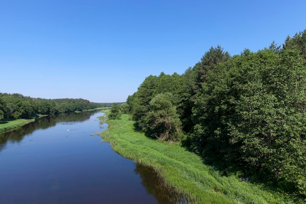 Un paisaje de verano con río.