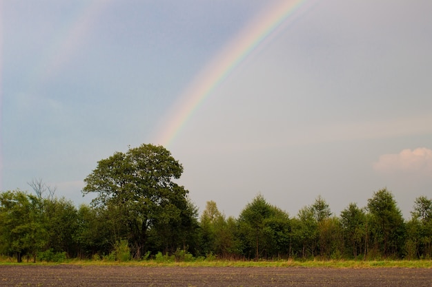 Paisaje de verano simple con arcoiris.