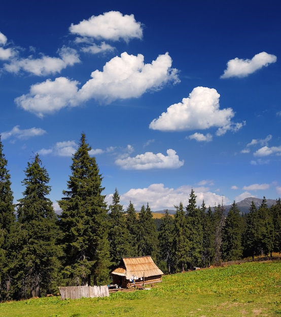 Paisaje de verano soleado en las montañas