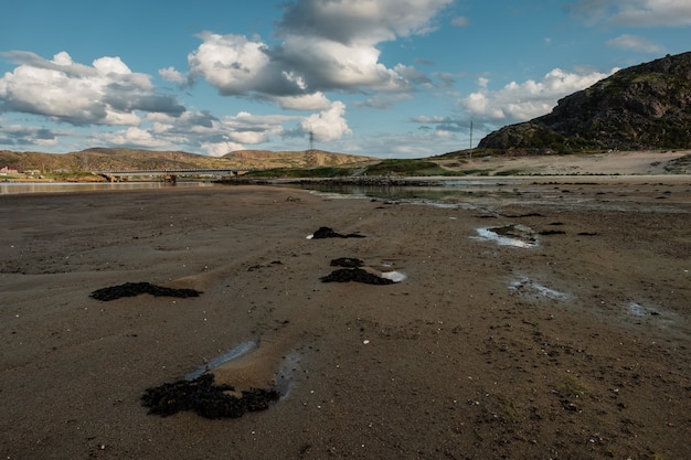 Paisaje de verano de la tundra polar verde en las cercanías de Teriberka