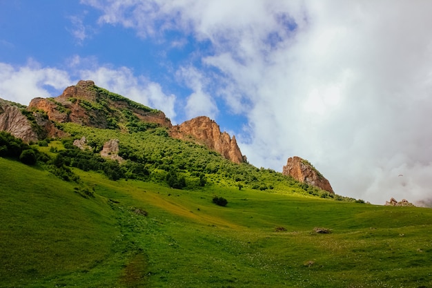 Foto paisaje de verano verde con árboles y rocas.