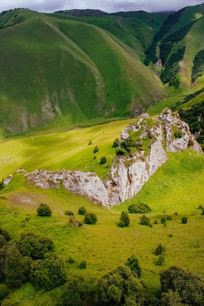 Paisaje de verano verde con árboles y rocas.