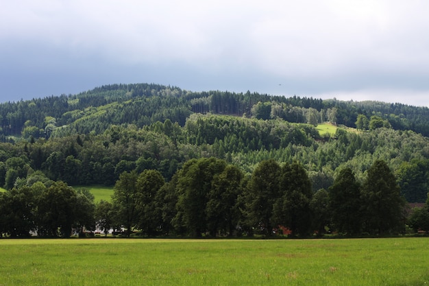 Paisaje de verano