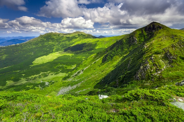 Paisaje de verano