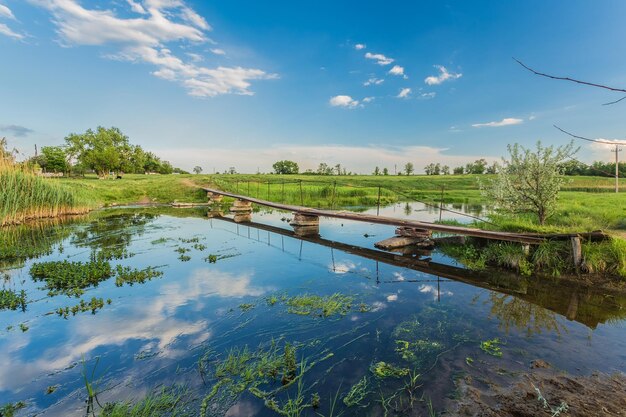 Paisaje de verano