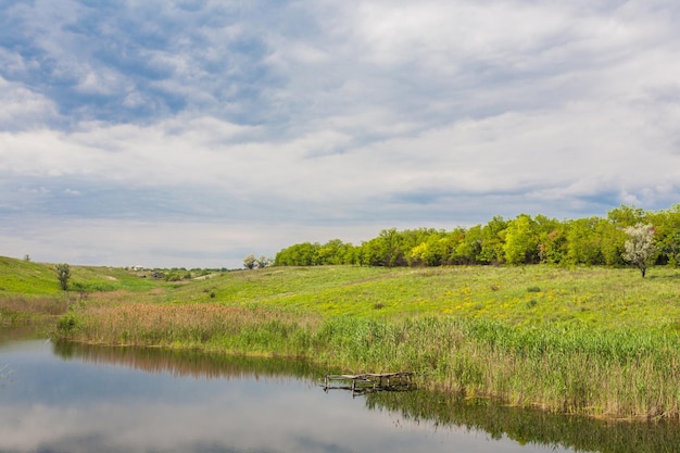 Paisaje de verano