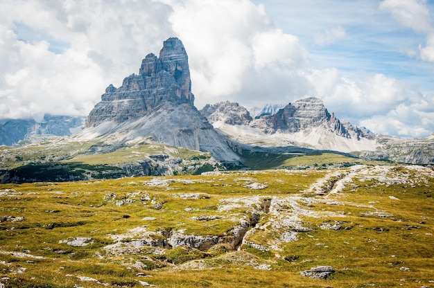 Paisaje de verano