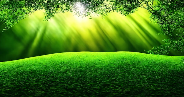 Un paisaje verde con un árbol y el sol brillando sobre él.