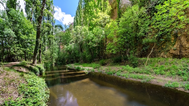 Paisaje verde con arroyo entre los árboles, reflejos en el agua y cielo azul. Sepúlveda, Segovia, España,