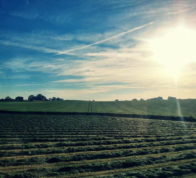 Foto paisaje verde contra el cielo