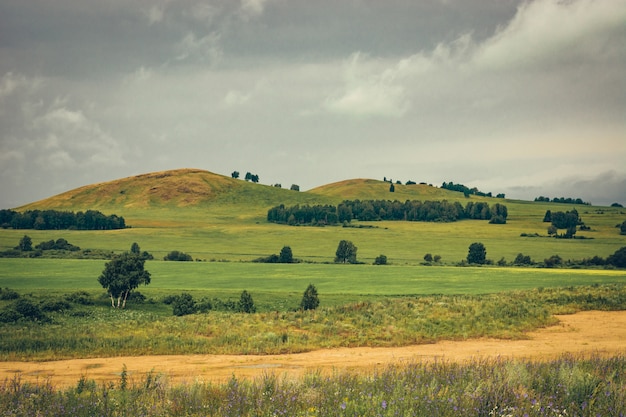 paisaje verde montañoso con un camino de tierra, árboles y un nublado cielo gris.