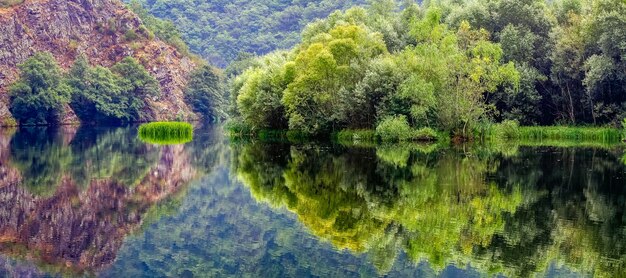 El paisaje verde panorámico reflejado en el agua desde el costado formaba una imagen simétrica. Asturias. España.