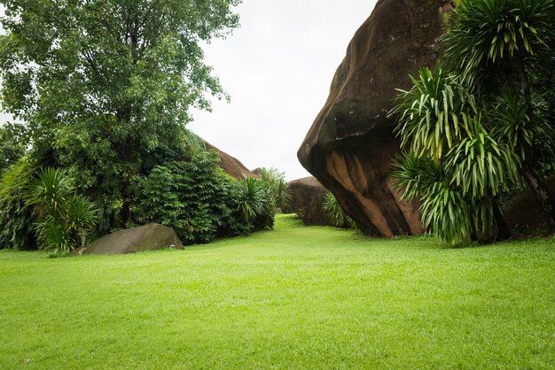 Foto paisaje verde parque jardín, jardín de piedra y campo de hierba