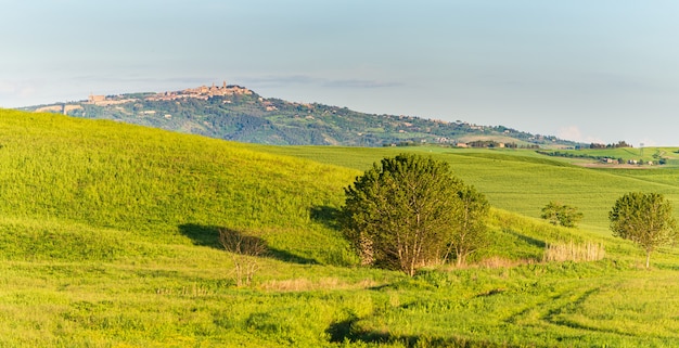 Paisaje verde único y cordillera cultivada en Toscana, Italia