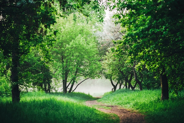 Paisaje verde