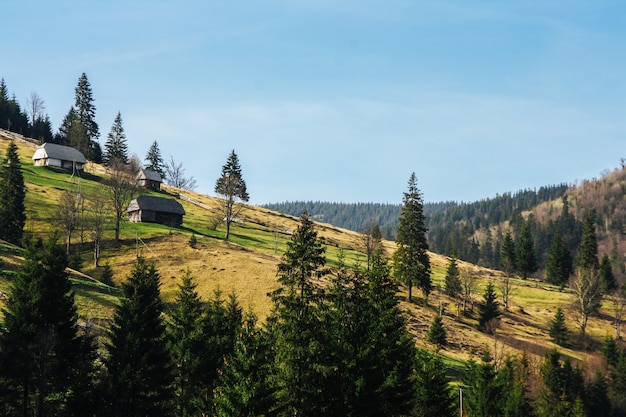 Paisaje de verdes montañas cubiertas de bosque con pequeñas casas.