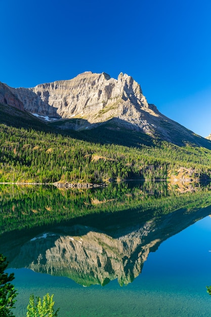 Paisaje vertical de una alta montaña con bosque verde cerca del mar claro bajo el cielo azul