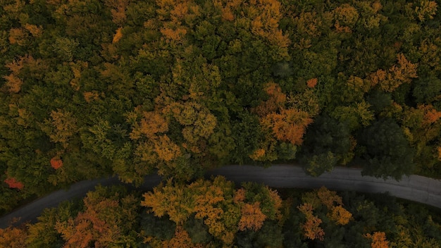 Foto paisaje vial en otoño