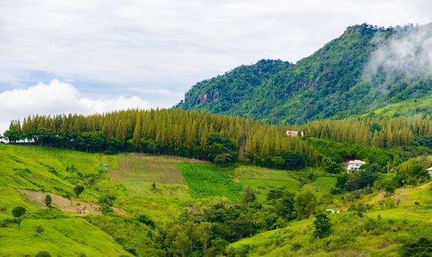 Paisaje vista casa en la colina de Wat Phra que Pha Son Kaew en Khao Kho, Phetchabun