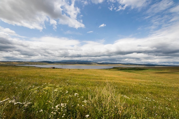 Paisaje y vista del lago en Tsalka, Georgia. Campo verde, flores y nubes.