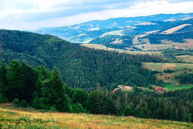 Paisaje vista a la montaña en verano