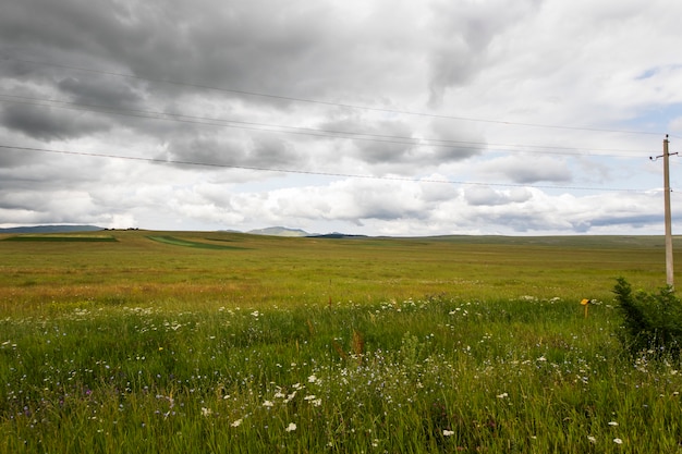 Paisaje y vista en Tsalka, Georgia. Campo verde, flores y nubes.