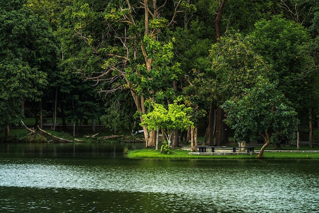 Paisaje vistas al lago en la Universidad Ang Kaew Chiang Mai en el bosque natural Vistas a la montaña primavera fondo de cielo nublado con nube blanca