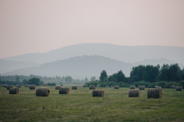 Paisaje con vistas de colinas brumosas y un campo con rollos de heno.