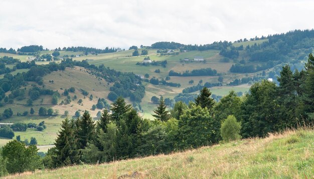 Paisaje de los Vosgos